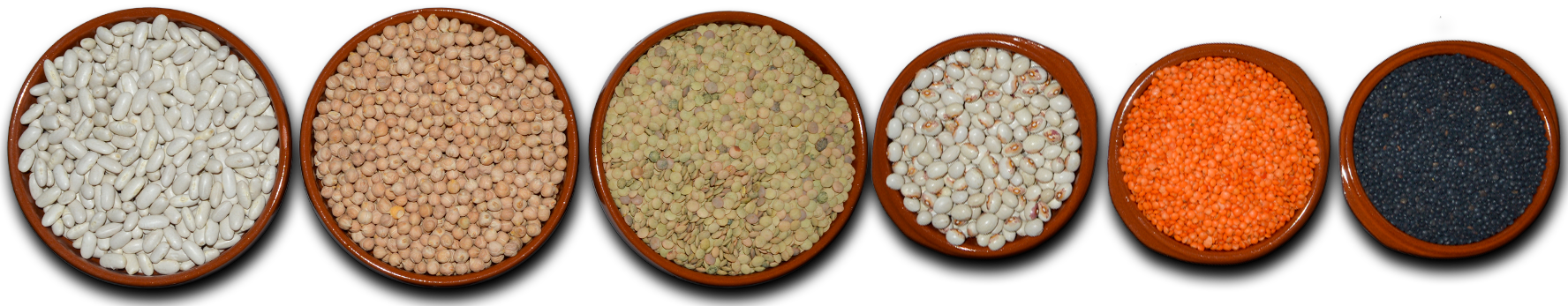 Gran selección de legumbres secas Legumbres Iglesias